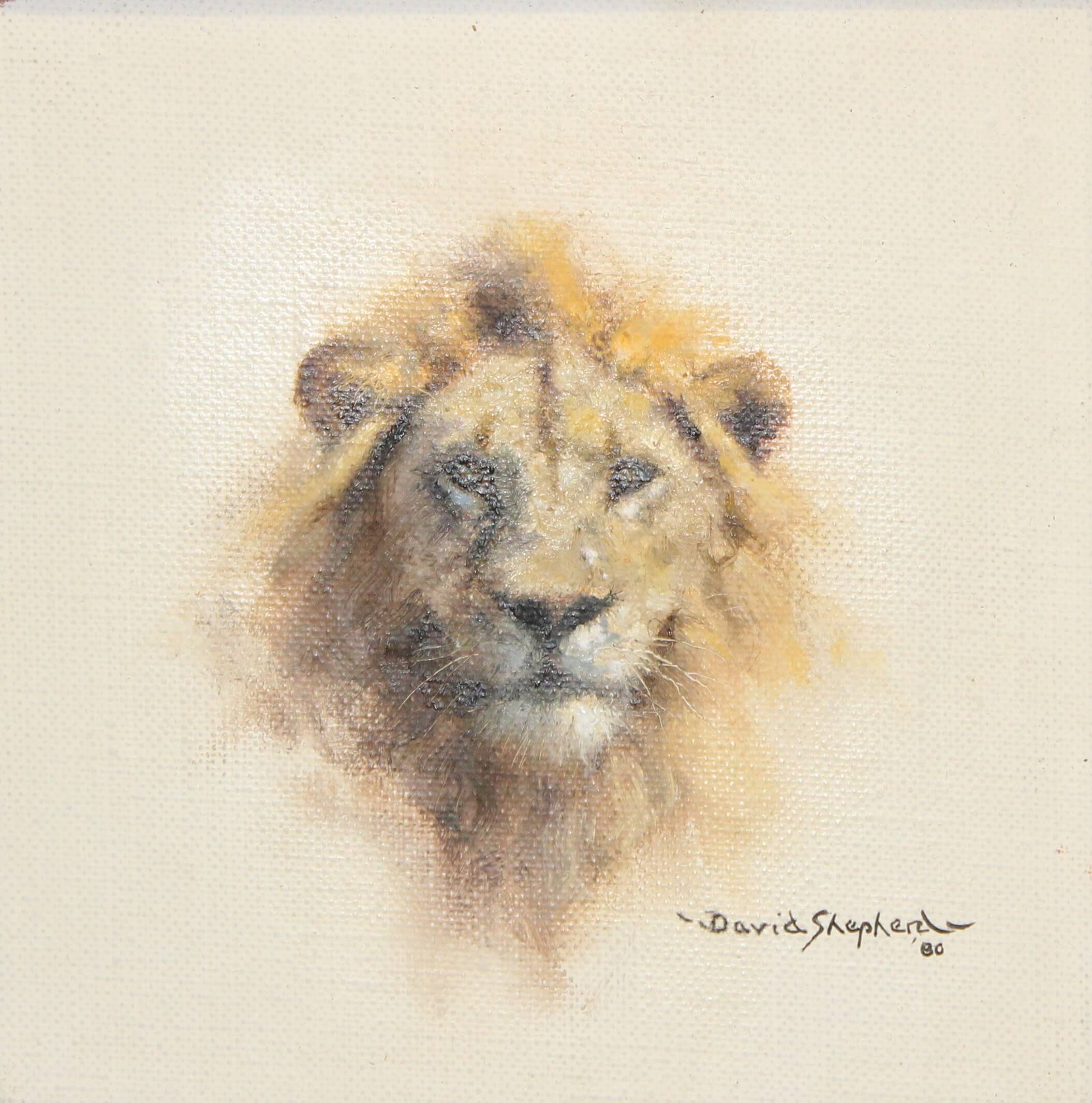 David Shepherd (1931-2017). Head of a lion oil on canvas